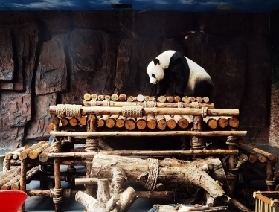 東莞香市動物園