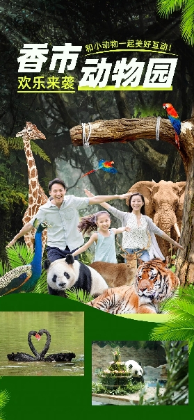 東莞香市動物園實測｜3大表演+7選7機動遊戲攻略✨