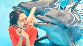 布吉島尼莫海豚館｜遊玩總結5個避坑指南，別踩雷！