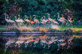 廣州親子線路推薦