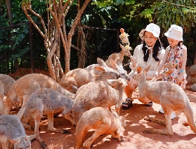 曼谷親子遊，開啟歡樂異國之旅