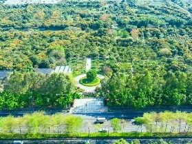 廣州地鐵11號大環線開通，坐地鐵打卡廣州景點喇！