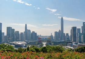 深圳遛娃寶地第一梯隊「蓮花山公園」