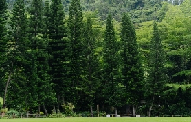 一起探索屬於深圳的「阿勒泰」