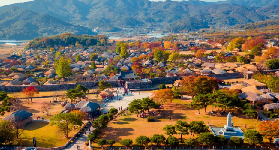 首爾春日限定！光陽梅花雪+全州韓屋村一日遊實測超讚💐