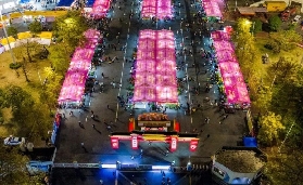 2025肇慶花市最新匯總