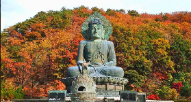 首爾出發江原道一日遊實測｜雪嶽山+洛山寺這樣玩不踩雷✨