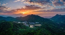 雲浮象窩山實測｜5個必知避坑點+茶園隱藏玩法✨