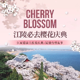 2025韓國櫻花節去哪看？推薦 這個小眾網紅地給你！