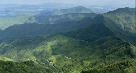 佛山登山好去處，這些公園不容錯過！