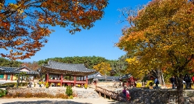 韓國京畿道 | 到君王之都骊州，来趟治愈之旅！