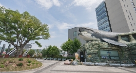 韓國蔚山近海 | 來看看韓國鯨魚館吧！