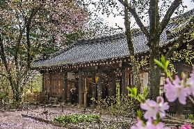 韓國南怡島門票｜含往返船票｜行程規劃+實用避坑指南