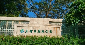 佛山新晉小眾打卡點——王借崗森林公園