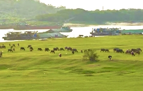 佛山三水兩日遊，深度打卡攻略
