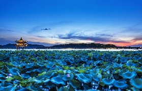 杭州西湖遊船攻略｜3個必知避坑點+行程規劃建議