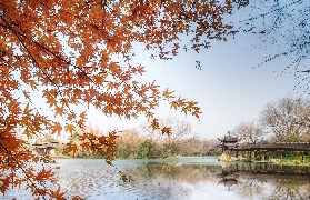 西湖遊船實測！船上看景超讚的隱藏細節💦
