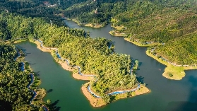 🙌🏻惠州紅花湖，不得不去的綠廊花漾