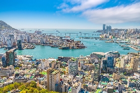 2025 釜山Busan春季賞櫻攻略