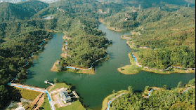 搭帳篷、放風箏.......超大草坪任由你撒歡！一起赴一場春日盛宴吧！