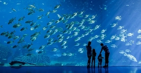 到珠海長隆海洋王國，潛入夢幻海底世界！