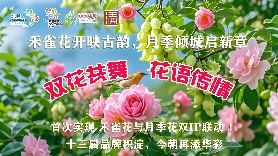 东莞清溪鎮第十四屆賞花行活動