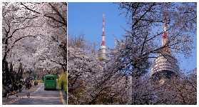 首爾N首爾塔實測｜愛情鎖墻+彩虹冰淇淋超抵玩！預訂前必睇！