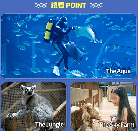 韓國京畿道水族館｜預訂前必睇！3個隱藏細節唔好錯過✨