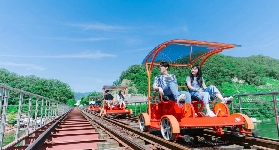 首爾週邊必去！南怡島+江村鐵道自行車超讚體驗｜保姆級攻略