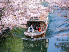 2025日本京都伏見十石舟賞櫻🌸開往春天的浪漫小船