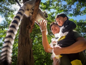 芭堤雅綠山動物園攻略