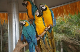 肇慶新開！貓爪野生動物世界零距離互動實測✨超抵玩！