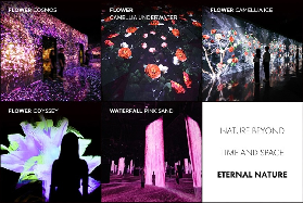 濟州島ARTE MUSEUM預訂前必睇！3個選品貼士慳錢又貼心✨