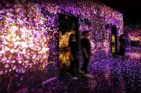 「實測」濟州ARTE MUSEUM超讚體驗！這些細節讓我驚呼連連🤩