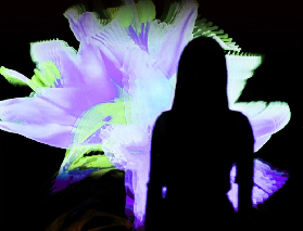 濟州島ARTE MUSEUM避坑指南！5個實用建議別踩雷⚠️