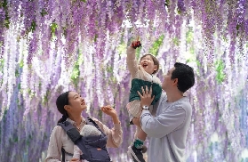 韓國京畿道秋海棠鳥花園｜預訂前必睇！避坑+選品貼士✨