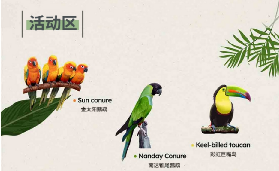 韓國加平秋海棠鳥花園實測｜現場玩轉亮點大公開🤩