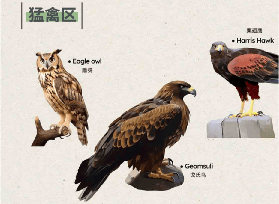 京畿道加平秋海棠鳥花園｜遊玩避坑全攻略，看完不踩雷💡