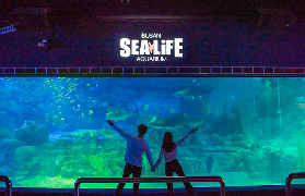 釜山水族館實測｜10000+海洋生物超近距離接觸！避坑指南看這篇✨