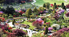 韓國京畿道晨靜樹木園｜預訂前必睇！3個隱藏坑位+交通攻略✨