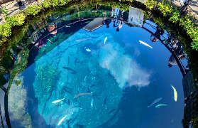 富士山一日遊實測｜忍野忍村+新倉山！隱藏版機位拍爆📸