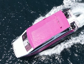 快來一起體驗普吉島粉墩墩號雙體快艇斯米蘭一日遊吧！