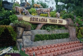 驚險與刺激：芭堤雅是拉差龍虎園的猛獸表演