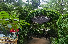 芭提雅大象村咖啡廳（Mongchang Cafe）