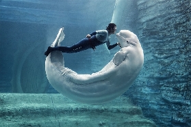 三亞亞特蘭蒂斯水族館遊玩總結｜避坑指南+必體驗亮點全收錄