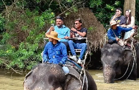 清凉一夏：芭提雅大象村大象沐浴新体验