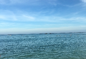 三亞接送機體驗｜臺灣人實測HopeTrip！3個隱藏亮點大公開🤩