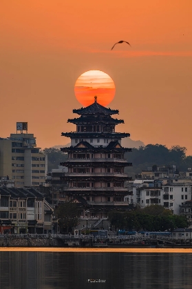 惠州一日遊，熱門好去處全打卡