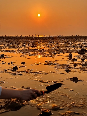 惠州一日遊：「馬爾代夫」巽寮灣2天1夜全攻略來啦