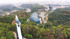 惠州必去打卡點：惠州植物園
